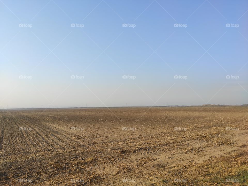 Serbia cropped field in autumn