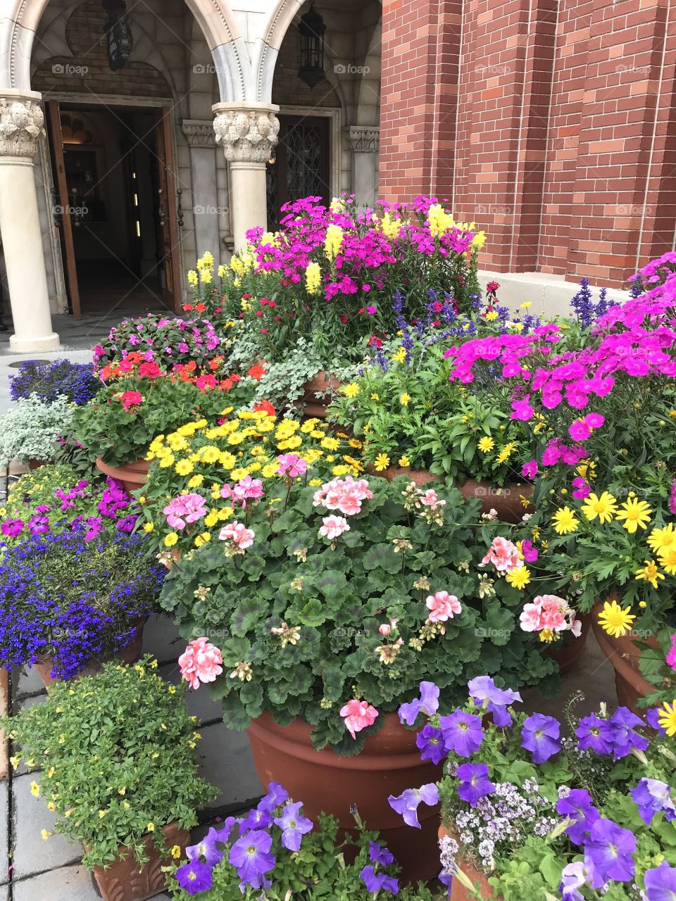 Beautiful colorful potted flowers with brick and pillars as backdrop 
