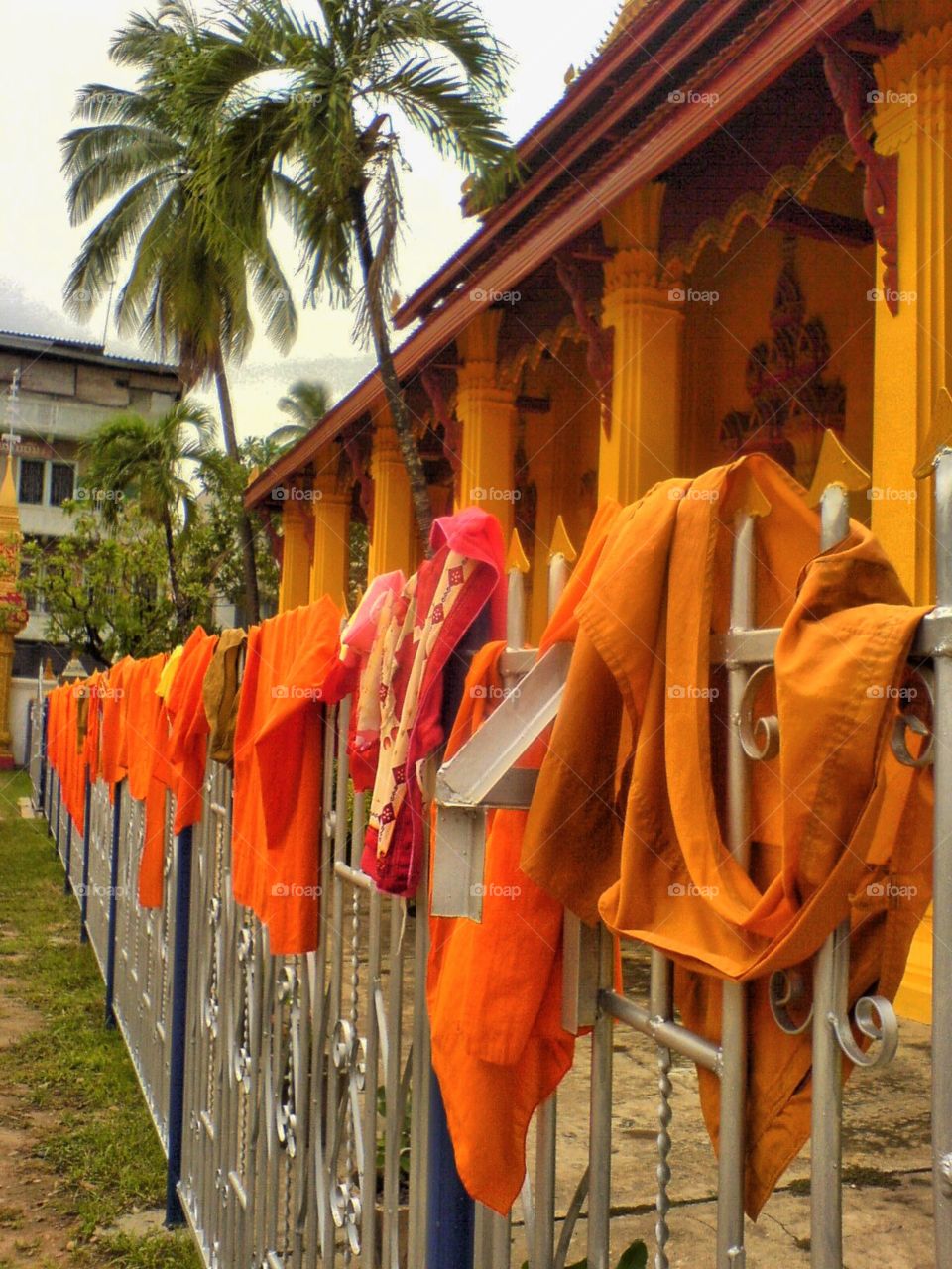 Monks' robes drying in the sun. 
Bangkok, Thailand. 