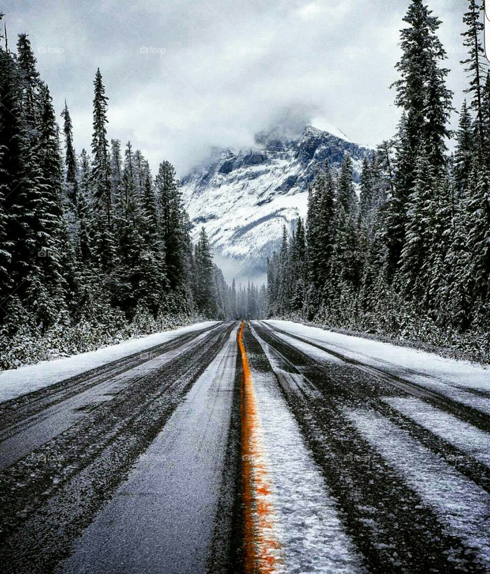 Snow, Road, Wood, Highway, Landscape