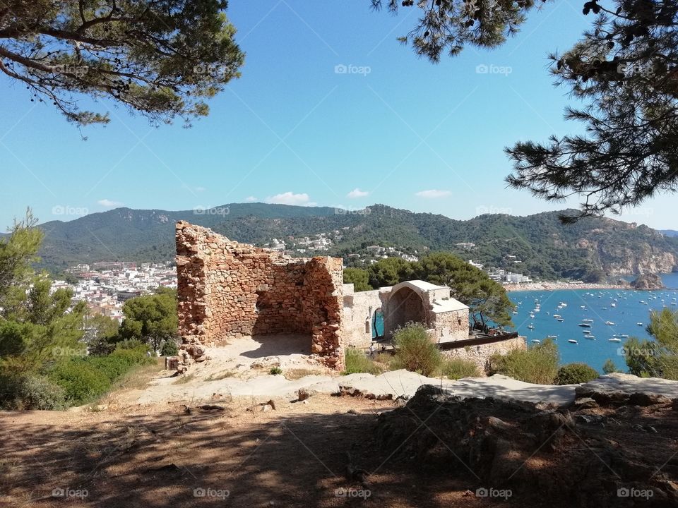 Tossa de mar