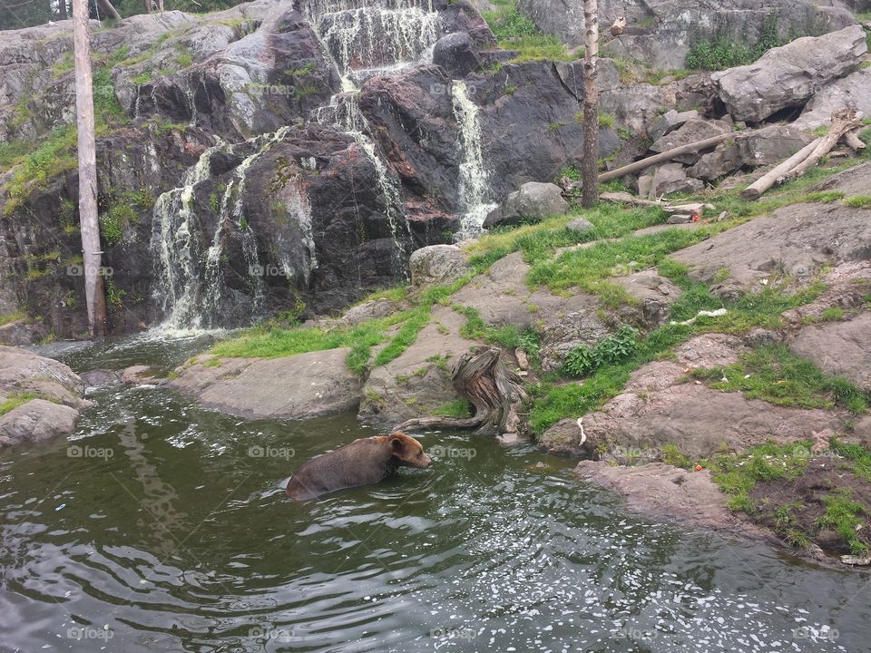 Water, River, Nature, Rock, No Person