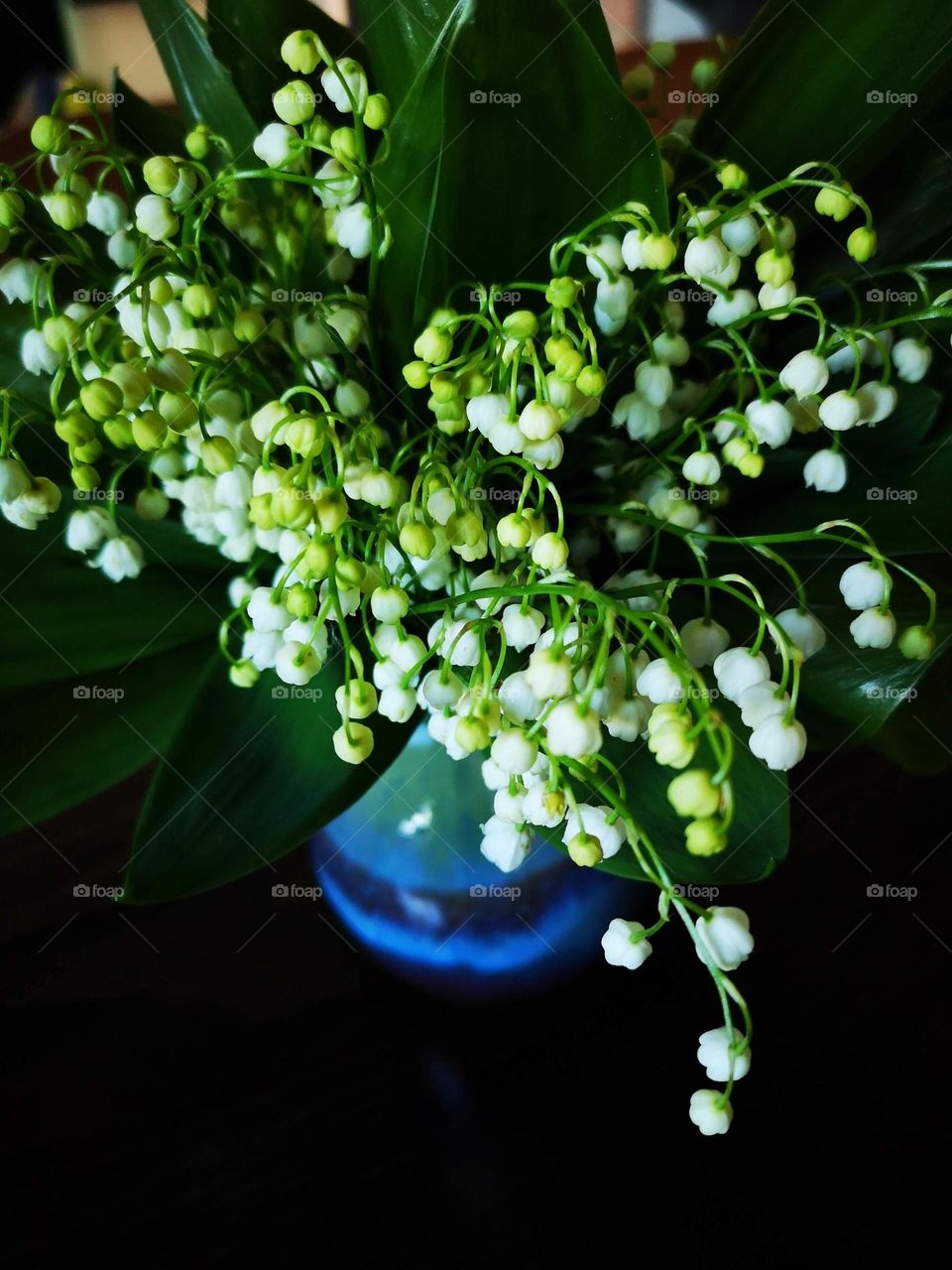 Beautiful bouquet of Lily of the valley flowers picked during one walk through the forest