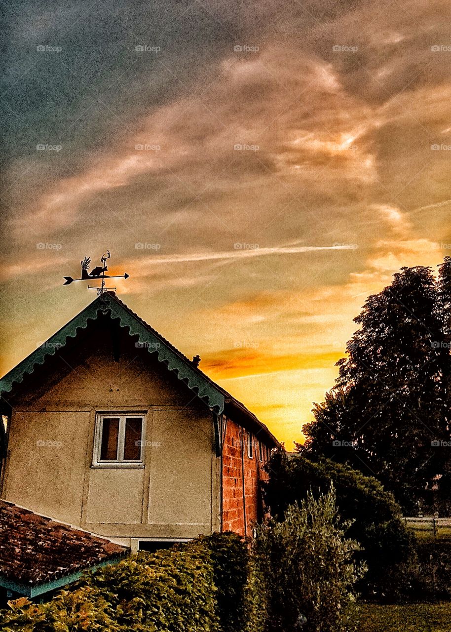 Early morning view from my bedroom window. Allemans-du-Dropt, France. August 2019