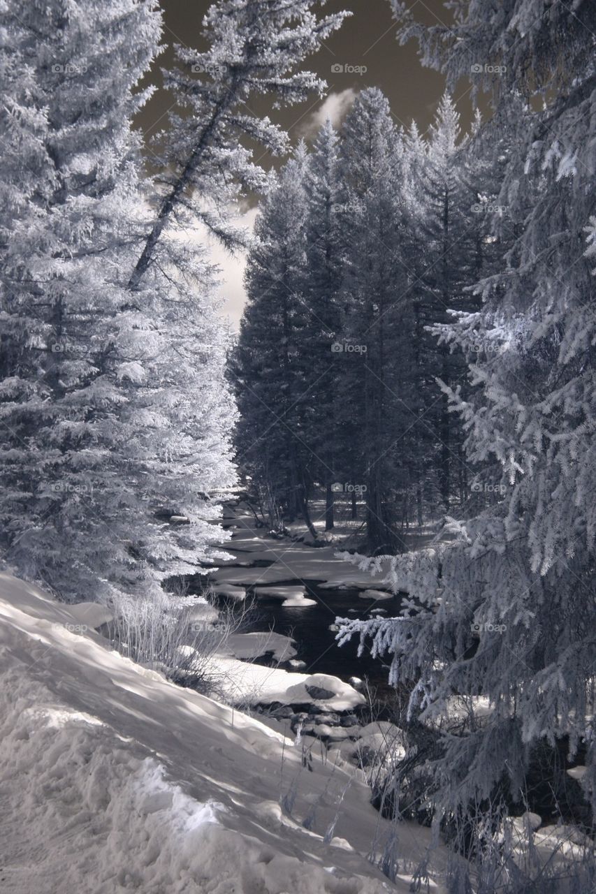 Winter landscape scenic view