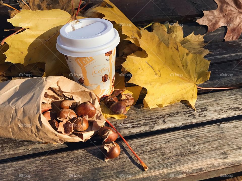 Fall, Wood, No Person, Still Life, Nature