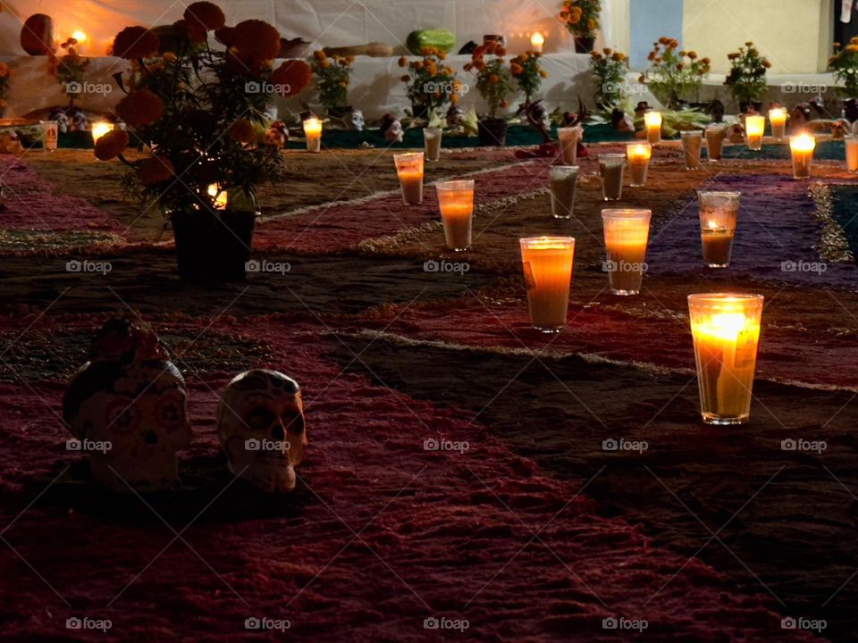 Skulls and lantern lamps situated on the ground, with many plants and flowers at the midnight.