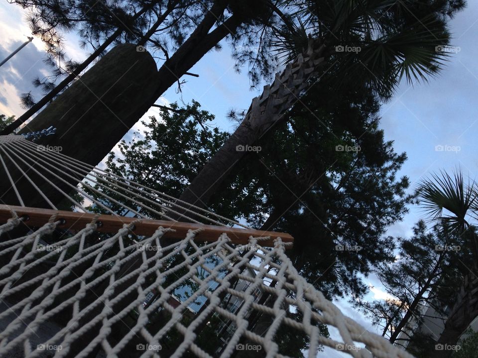 Hammock 