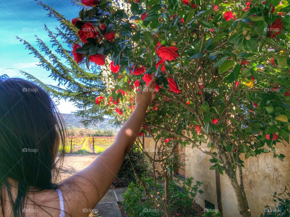 Beautiful red flowers & the girl