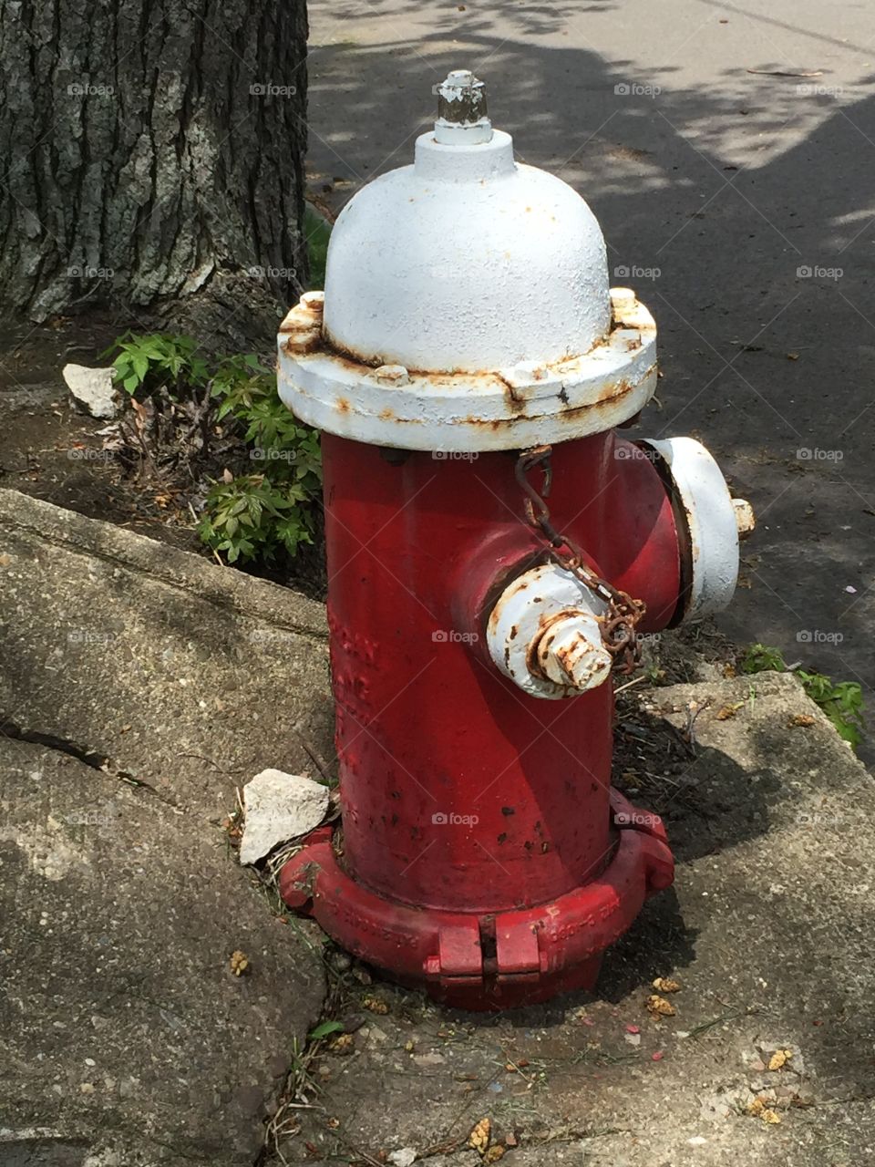 Red and white fire hydrant 