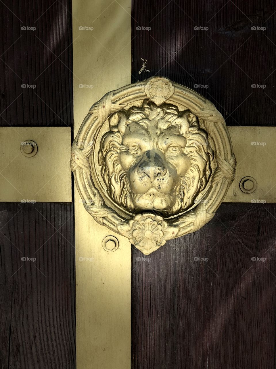 Lion door ornament 