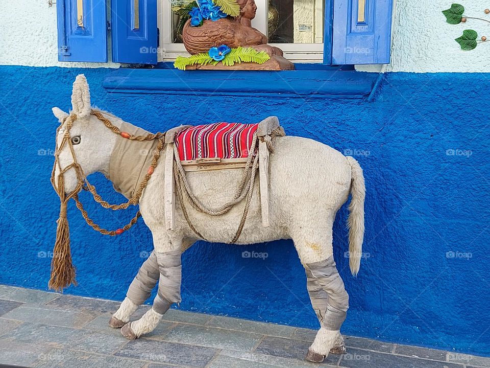 Crete donkey