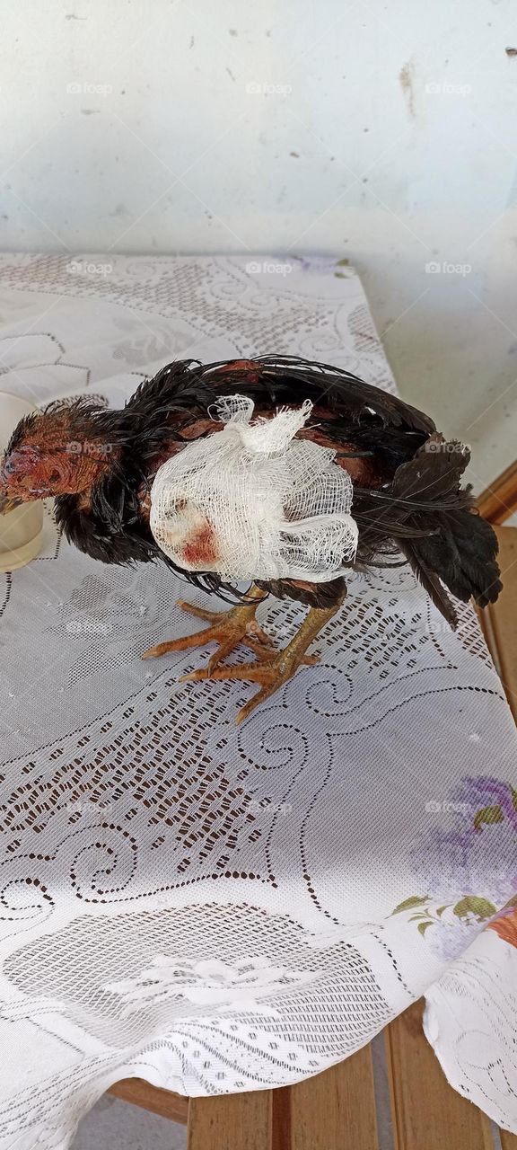 Dressing on chicken with broken wing