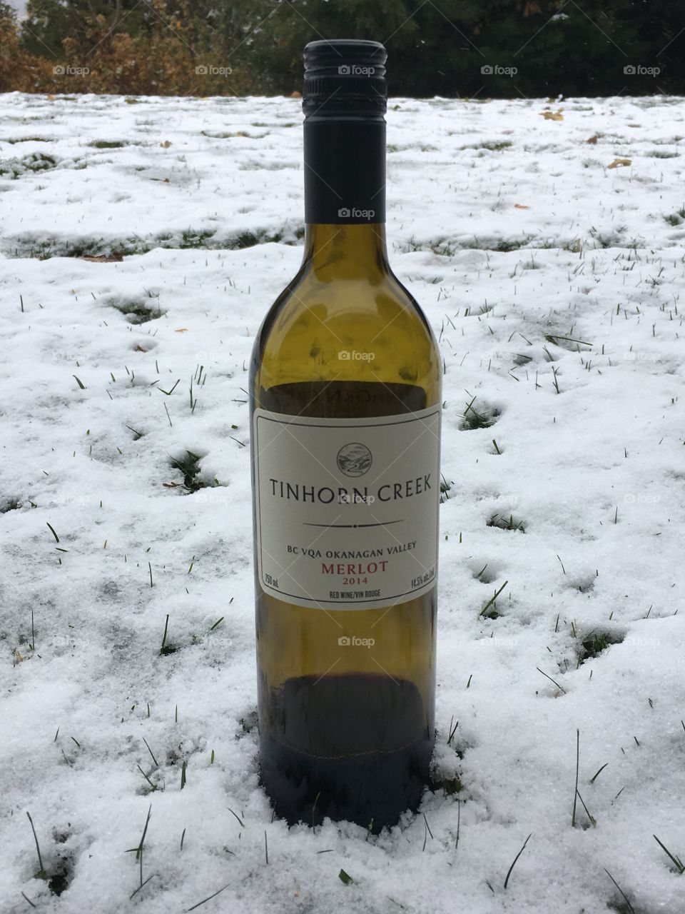 Wine bottle in the snow 