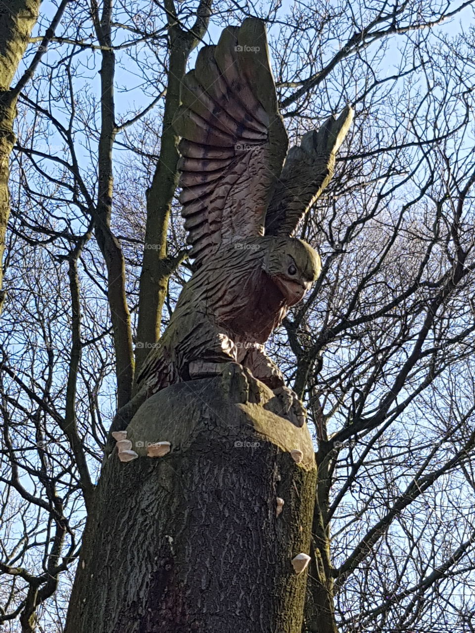 Eagle Carved Out Of Tree