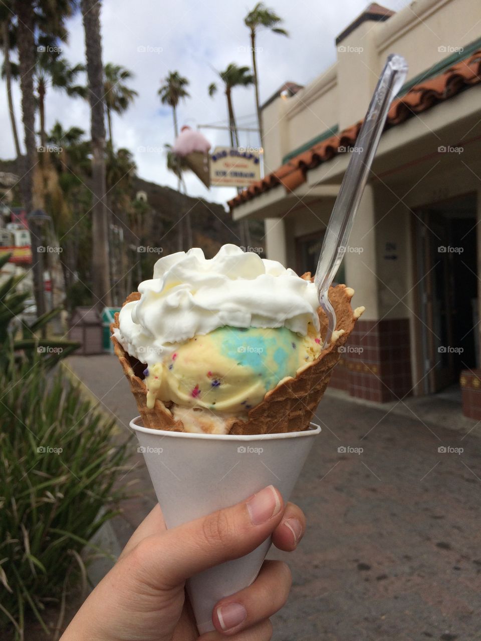 Catalina Island Ice Cream