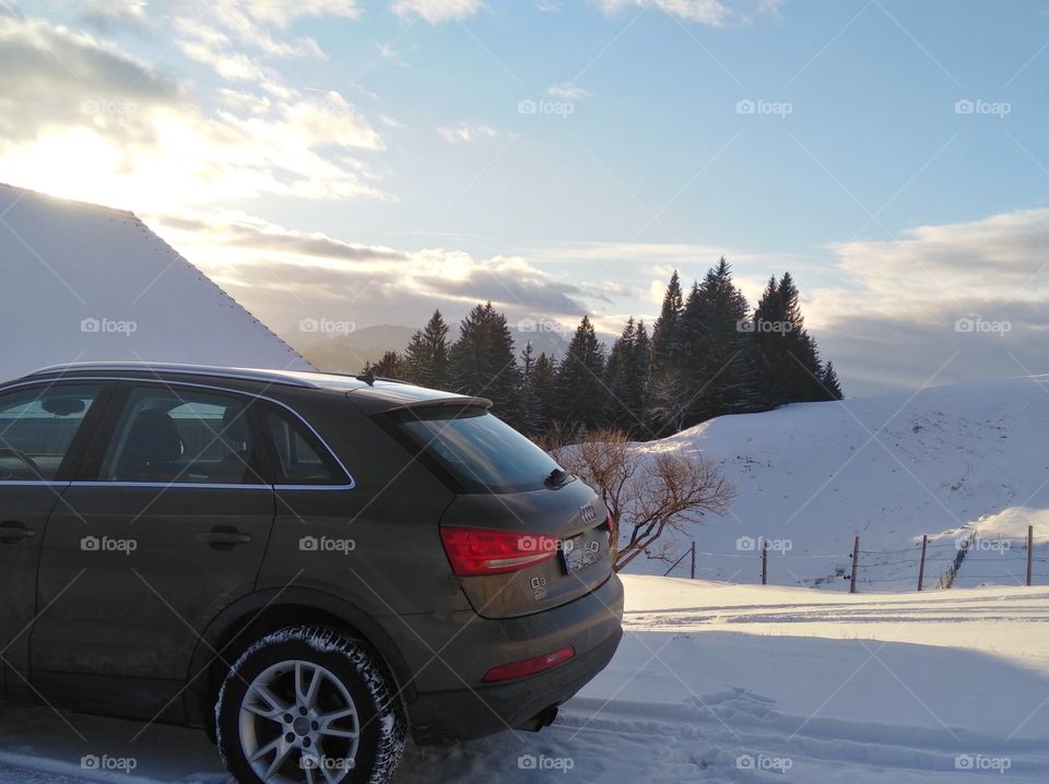 Audi in the snow