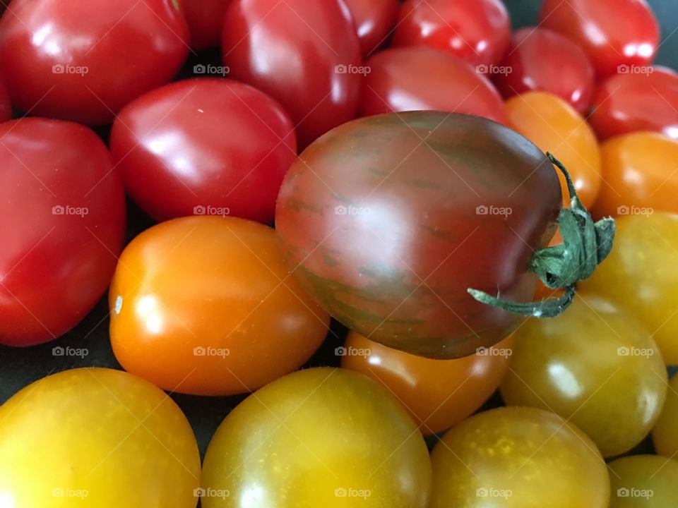 Colorful organic tomato background healthy lifestyle food photography with yellow tomato, orange, purple and red conceptual background