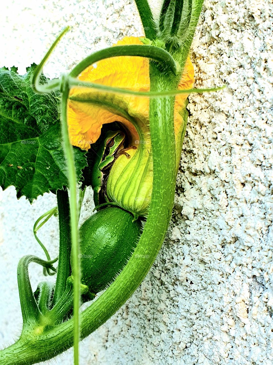 perfect place to hide