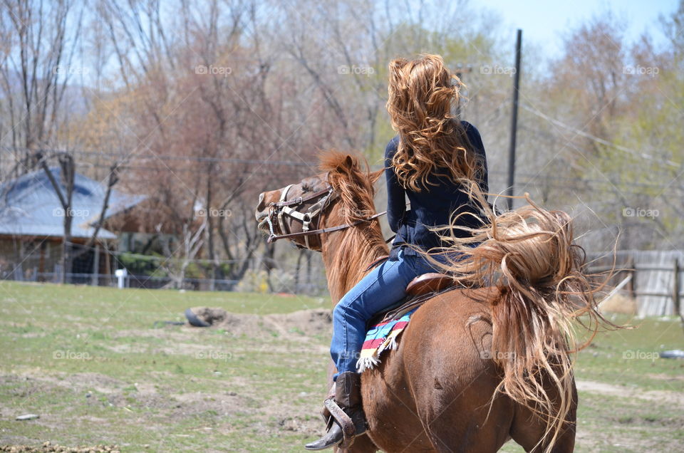 Horse rider. Girl riding horse in Utah