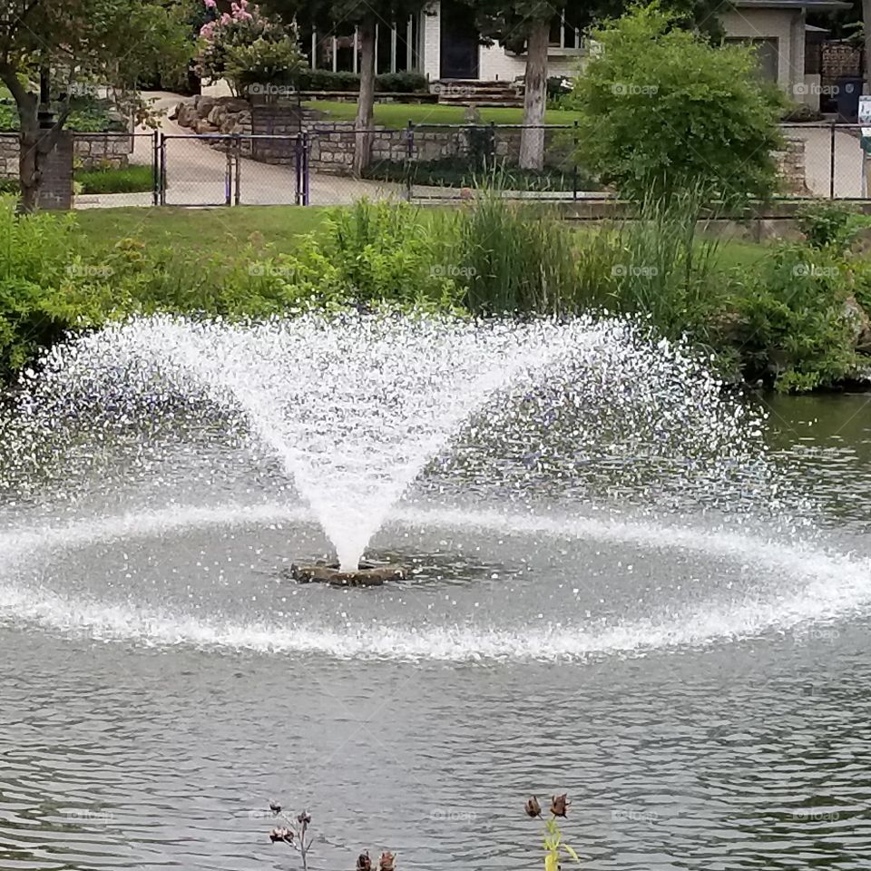 water fountain Swan lake