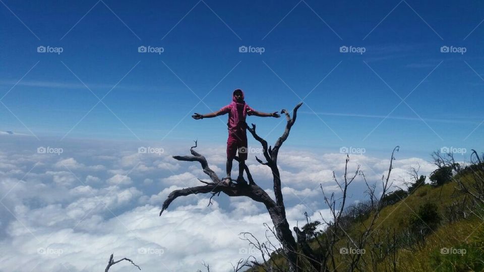 samudra di atas awan