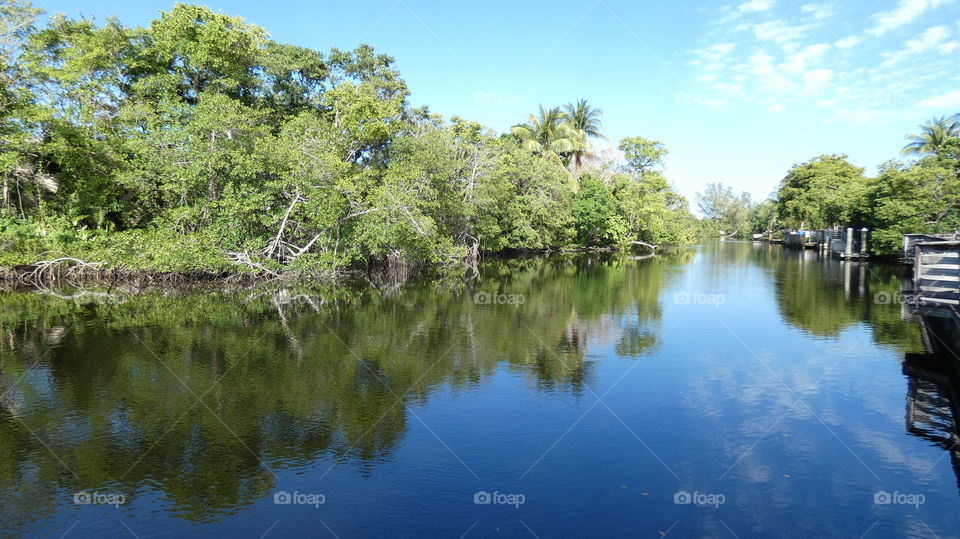 North fork of the Middle River, Island City Park in Wilton Manors, Florida