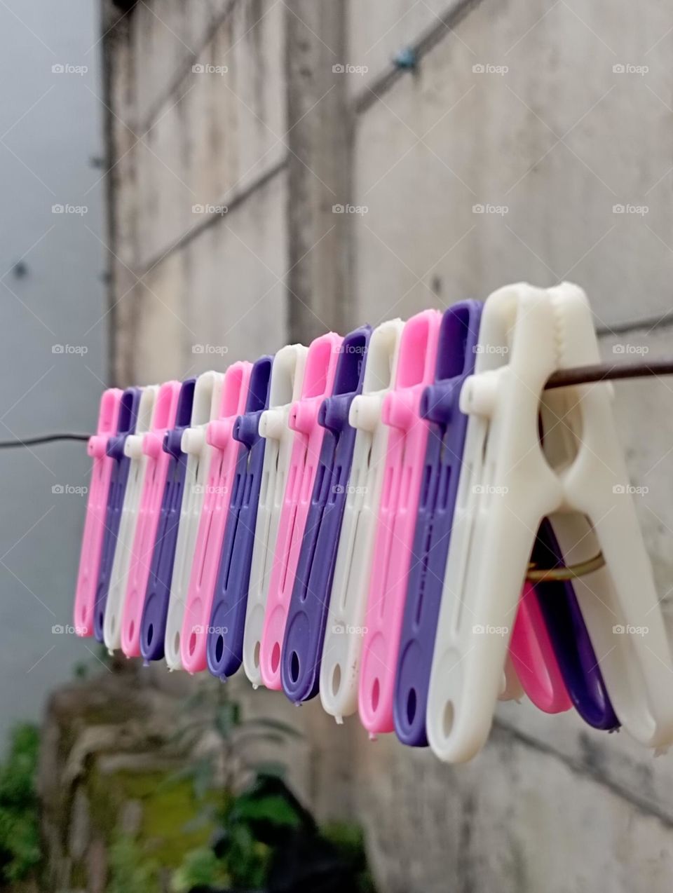 Clothe pins hanging on laundry line