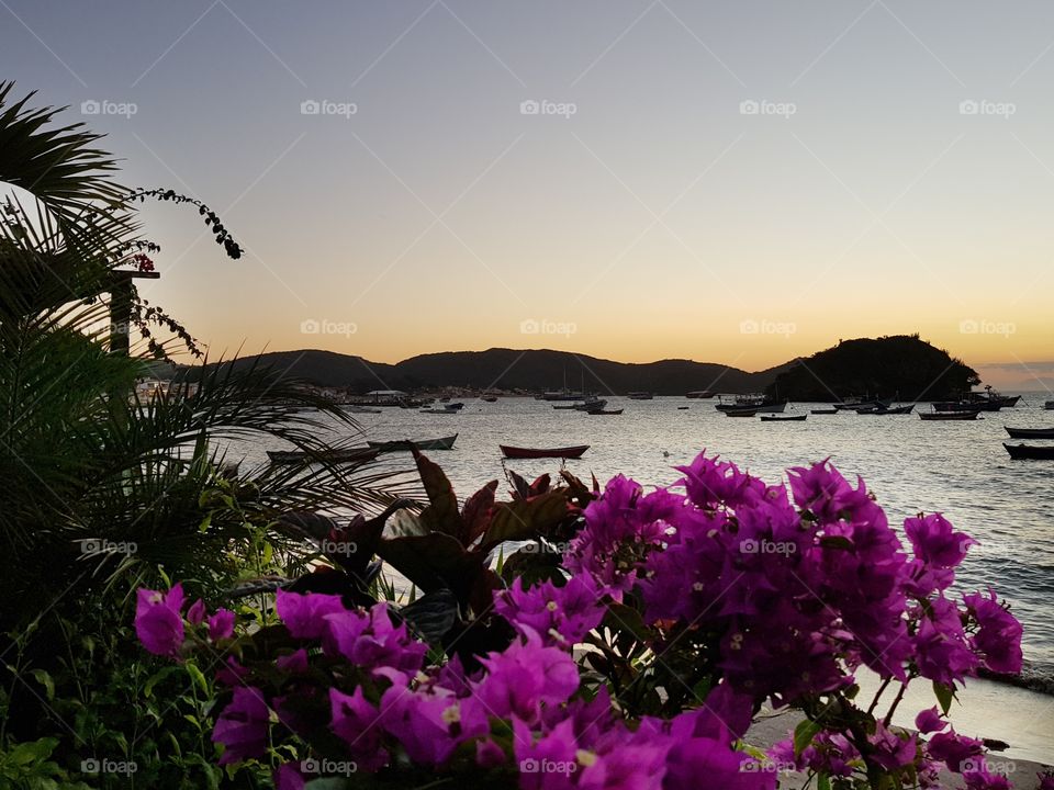 Sunset flowery in the Buzios