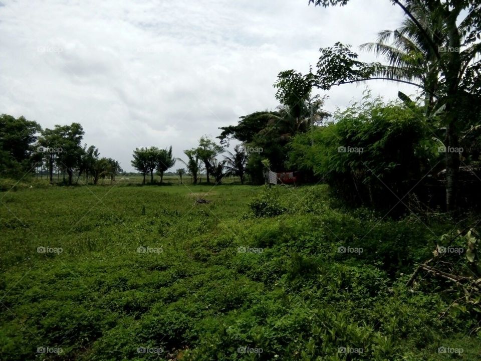 Village at Rajeg