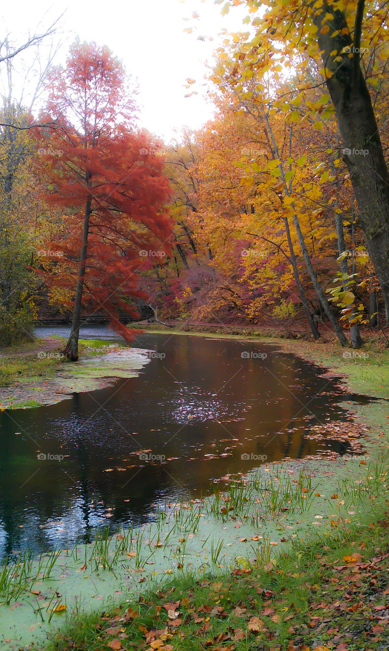 Autumn on the Meramec