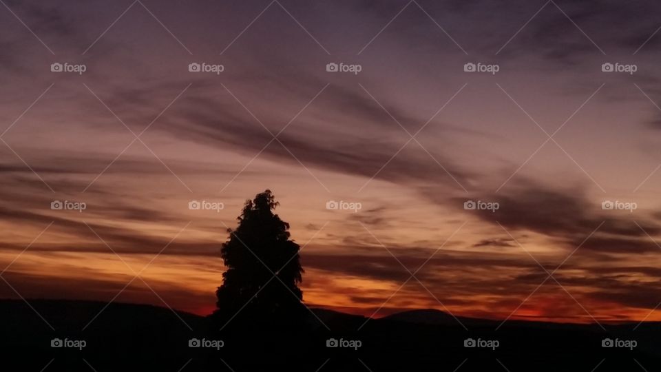 Sunset, No Person, Dawn, Sky, Dusk