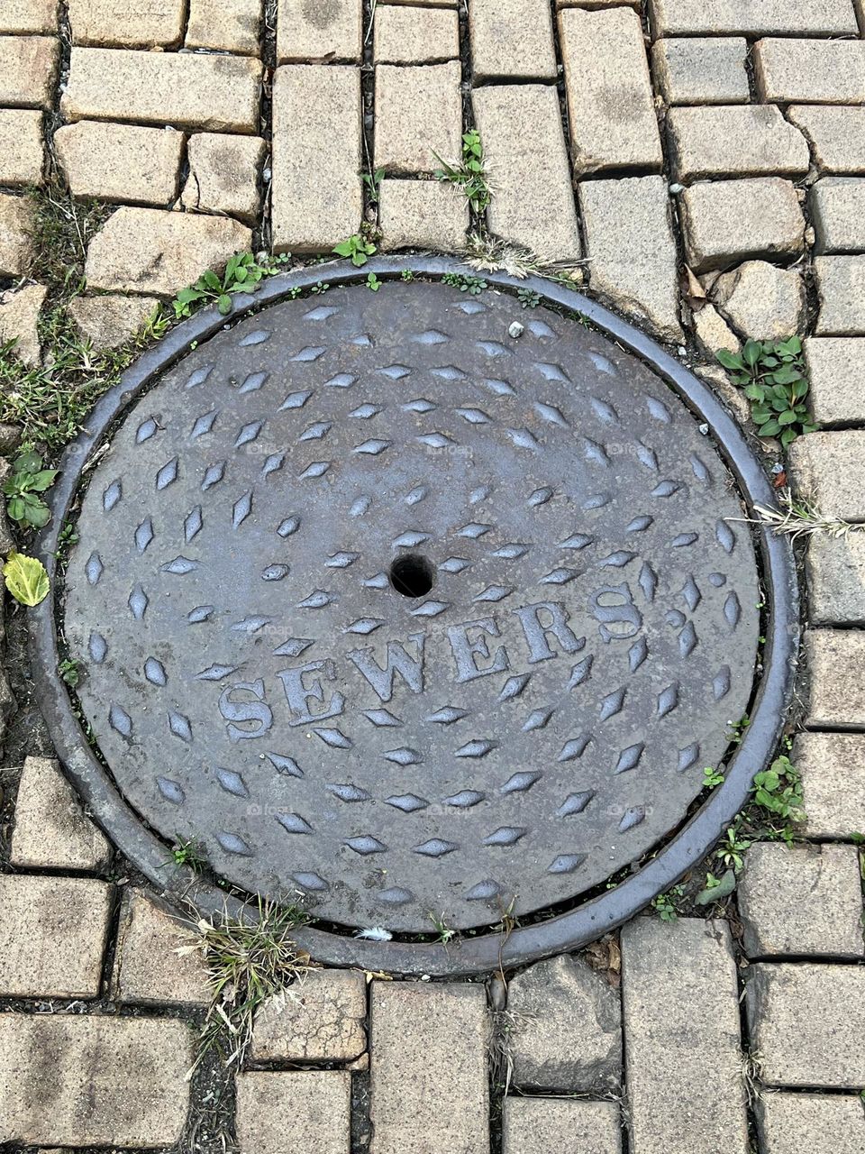 Sewer lid