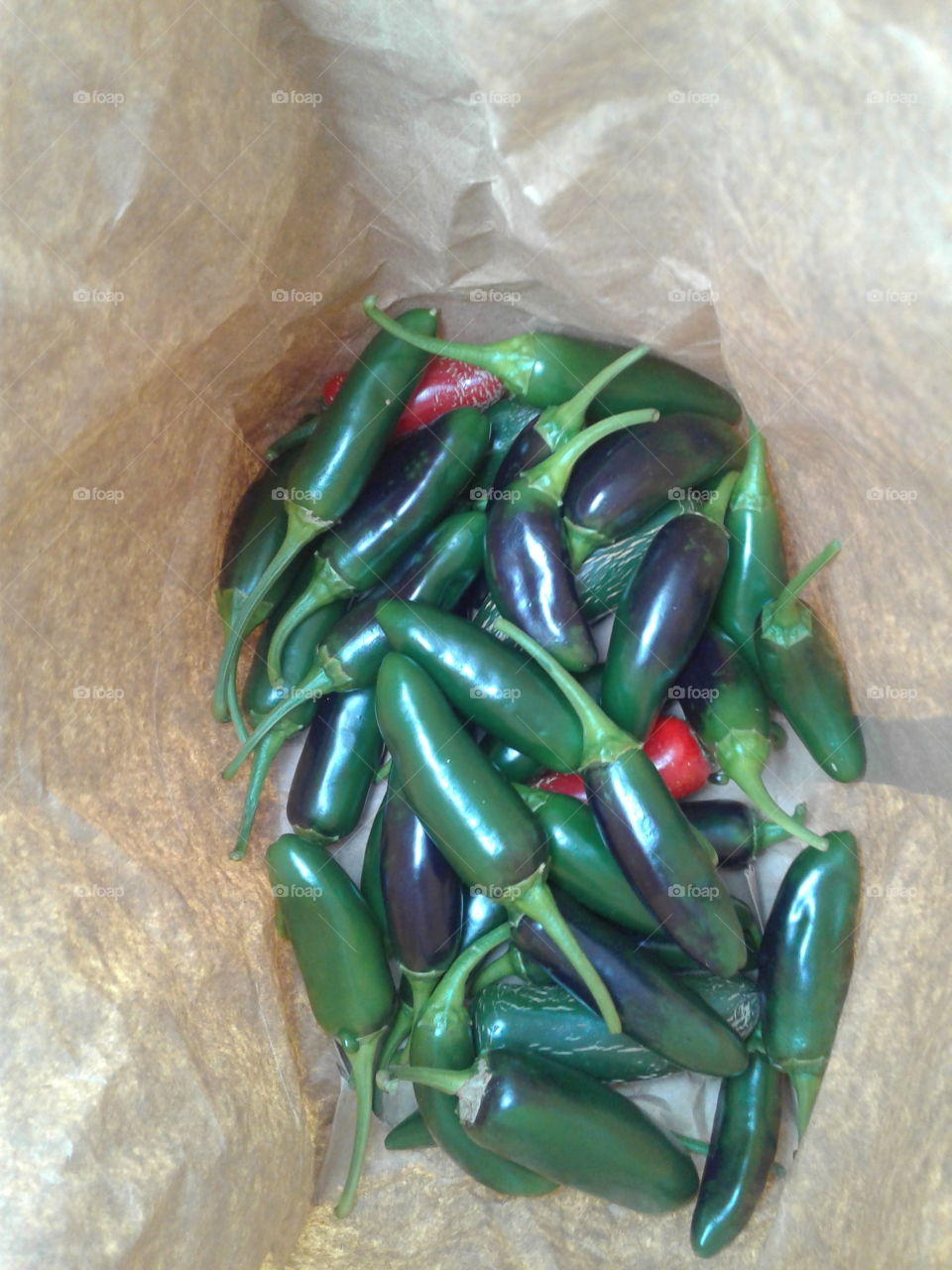 jalapenos from the garden