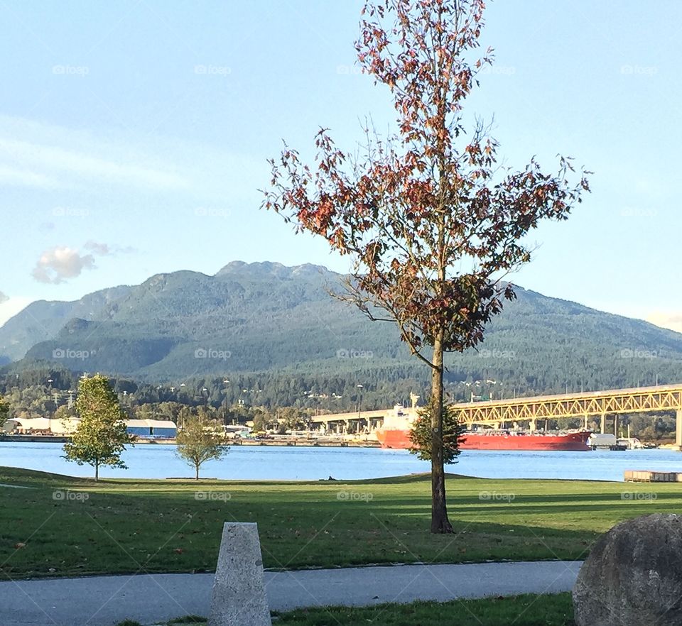 Clear day view of North Vancouver from Brighton Park on a warm sunny day.