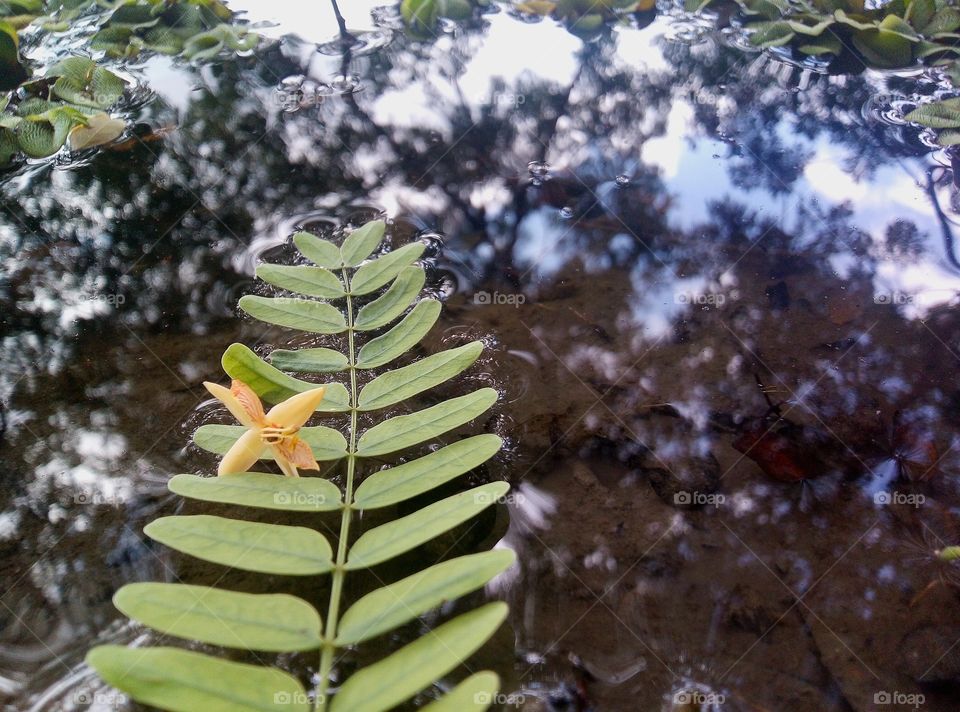 Balanced nature with unbalanced people