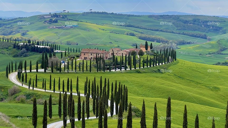 Landscape in Tuscany 