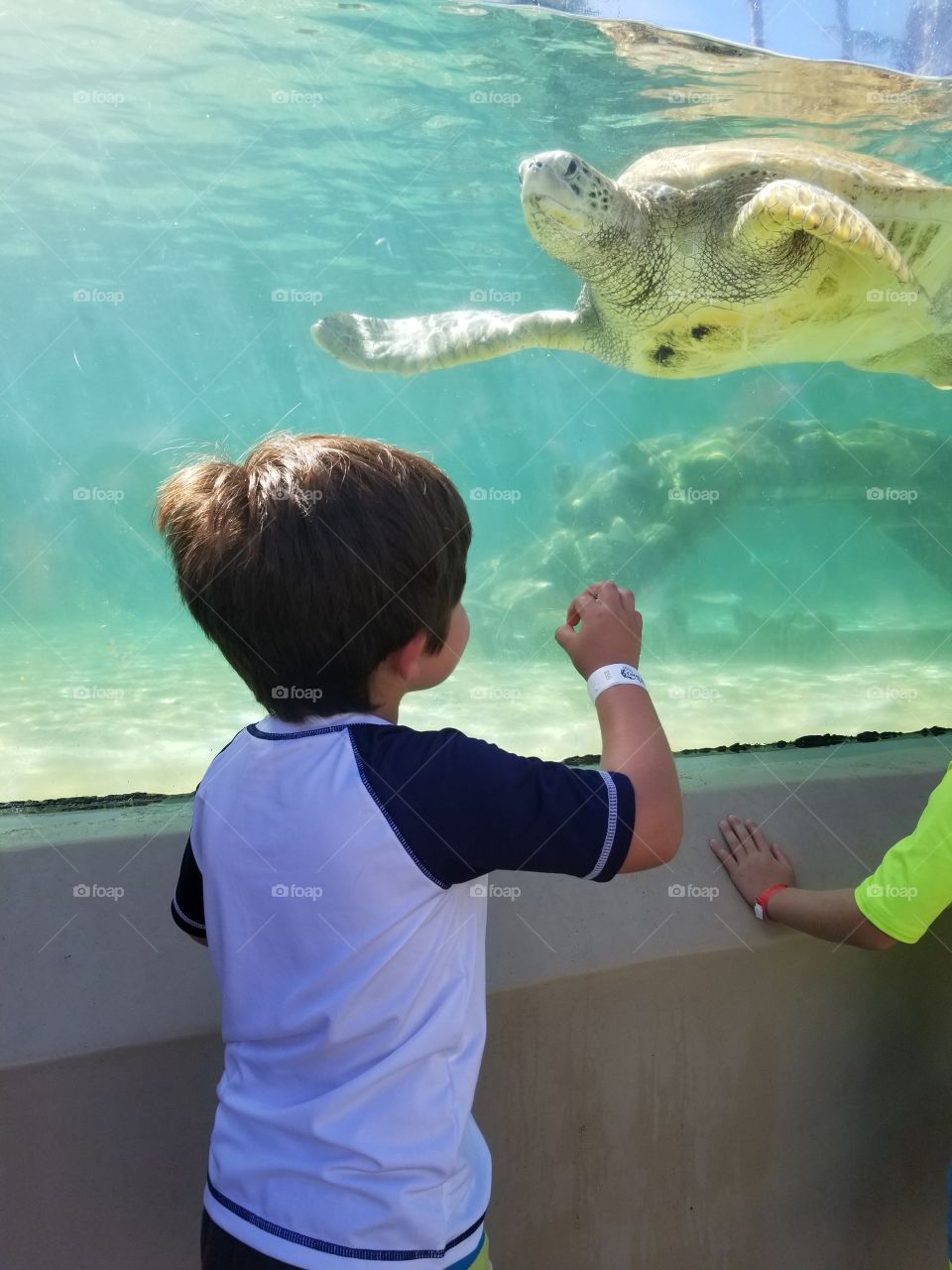 child at coral world