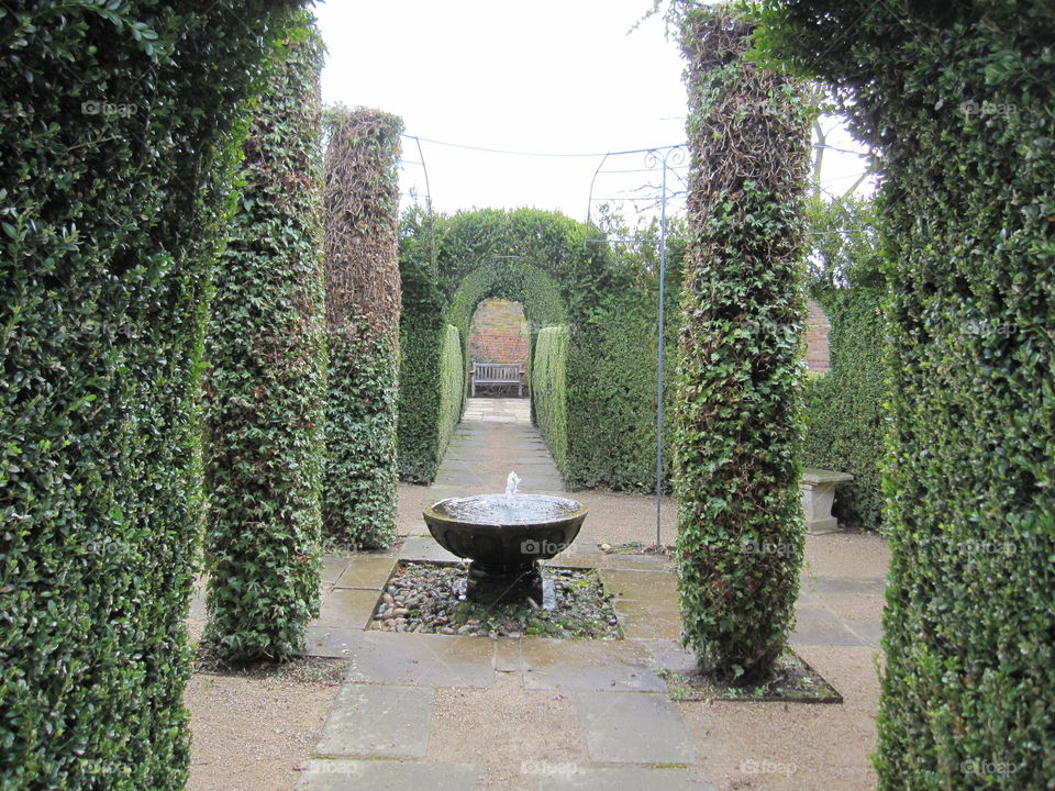 Garden, Hedge, Ivy, Topiary, Shrub