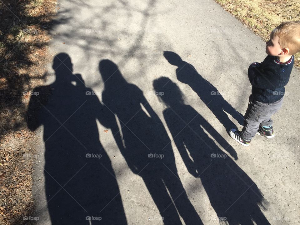 Shadow family