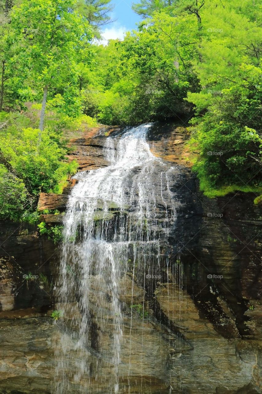 Summer Waterfall 