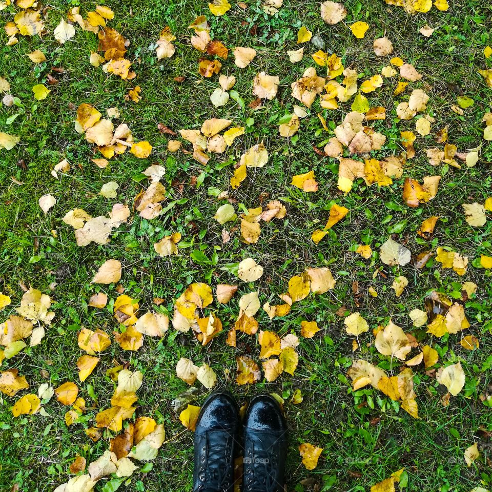 Person in black boots standing on the autumn leaves