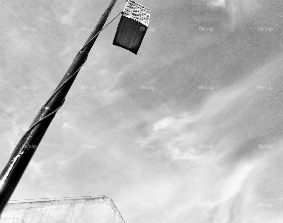 Bamboo for hanging bird cages