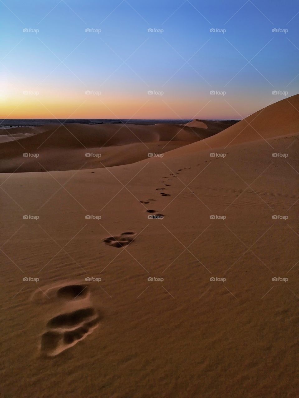 Desert of Algeria Golden Sands 2