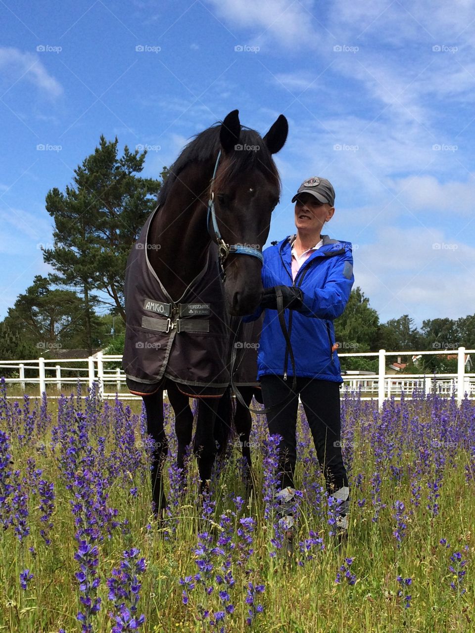 My sister's horse