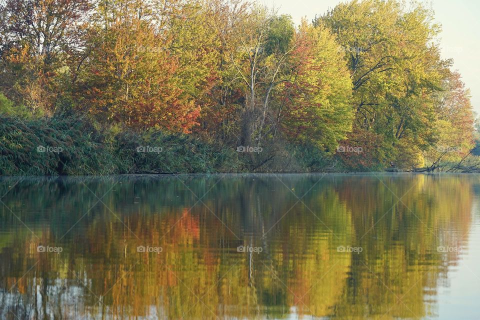 Autumn Reflection 