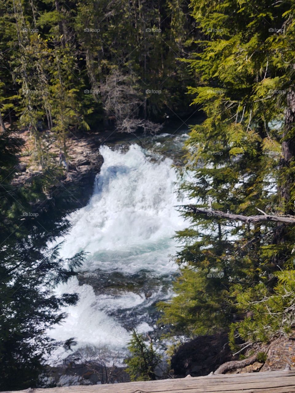 Glacier National Park
