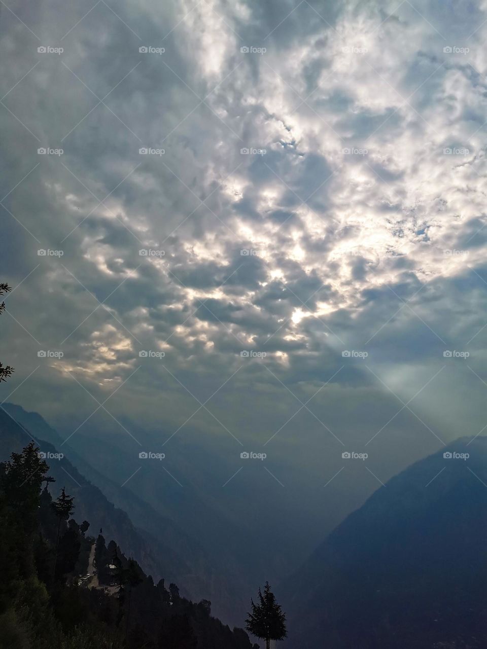 Awesomeness in nature's world