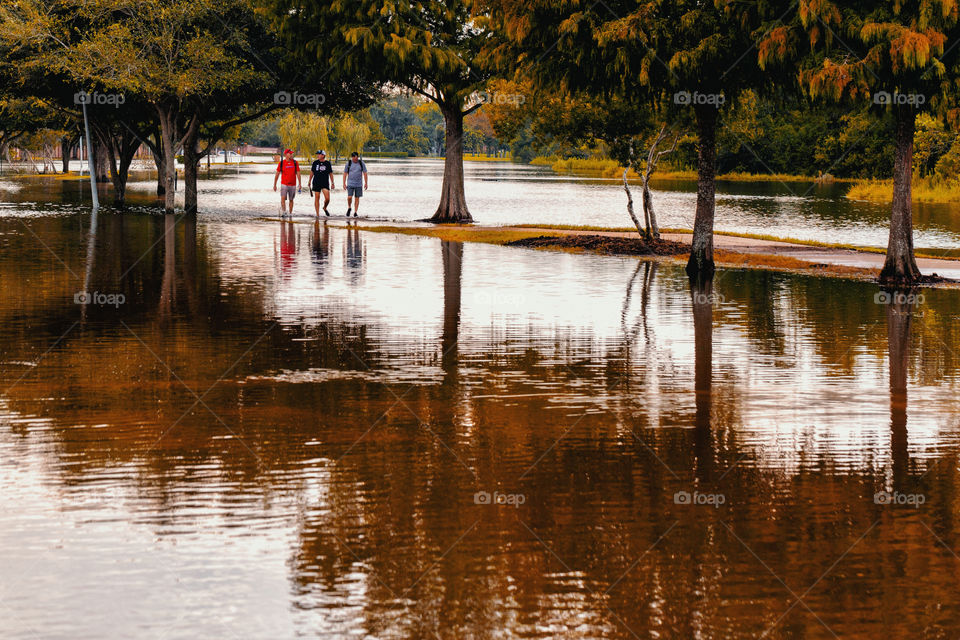 Autumn rain reflections - after hurricane Harvey’s heavy downpours