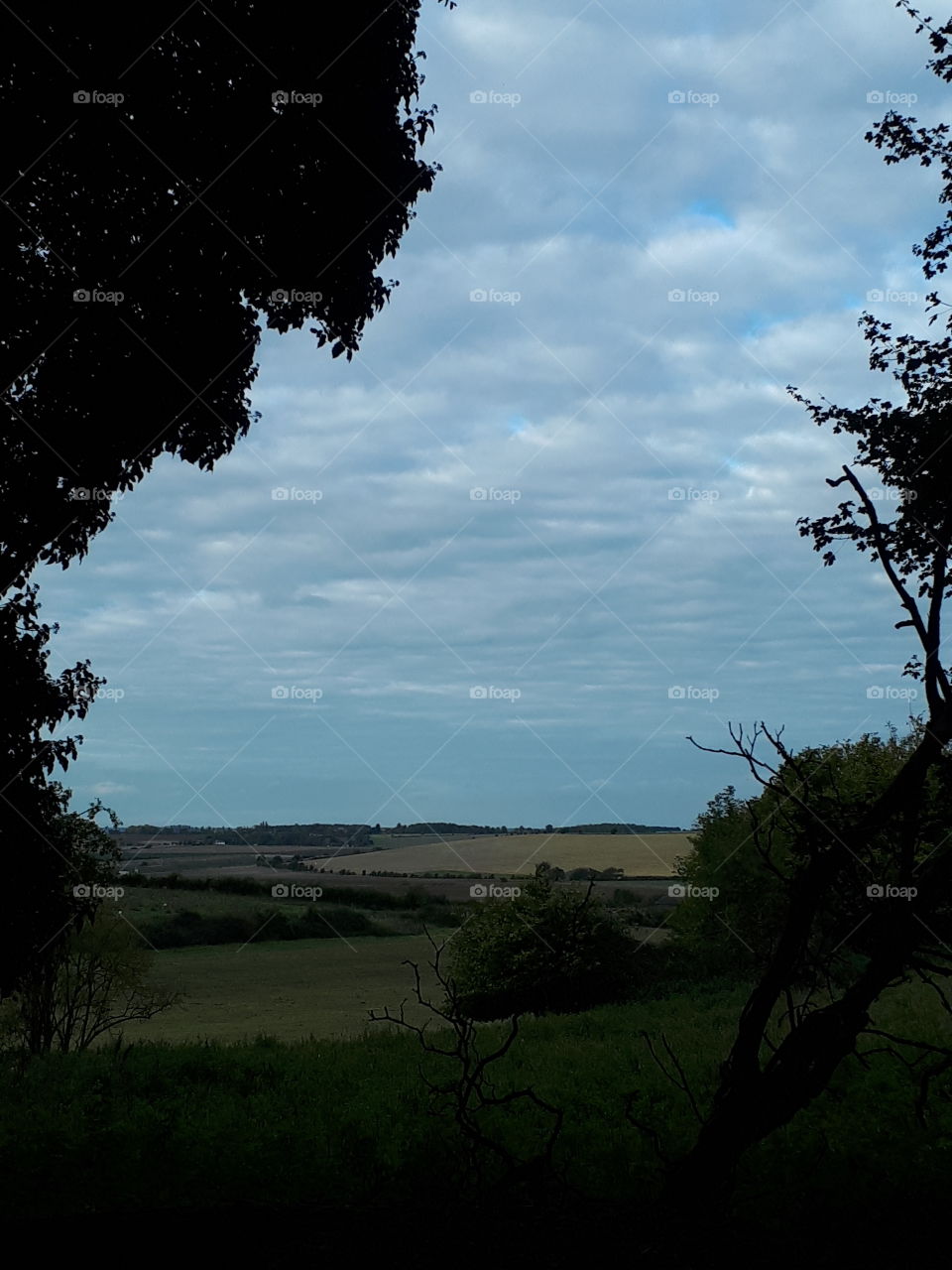 No Person, Tree, Landscape, Nature, Outdoors